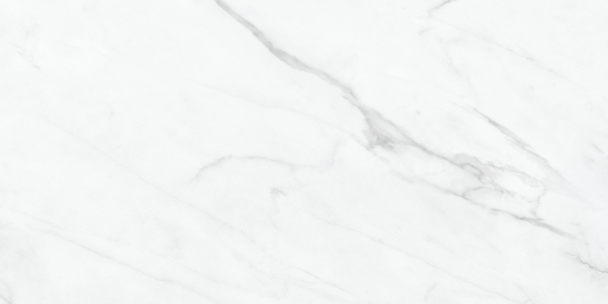 Altezza 12x24 Carrara | Best Tile and Wood