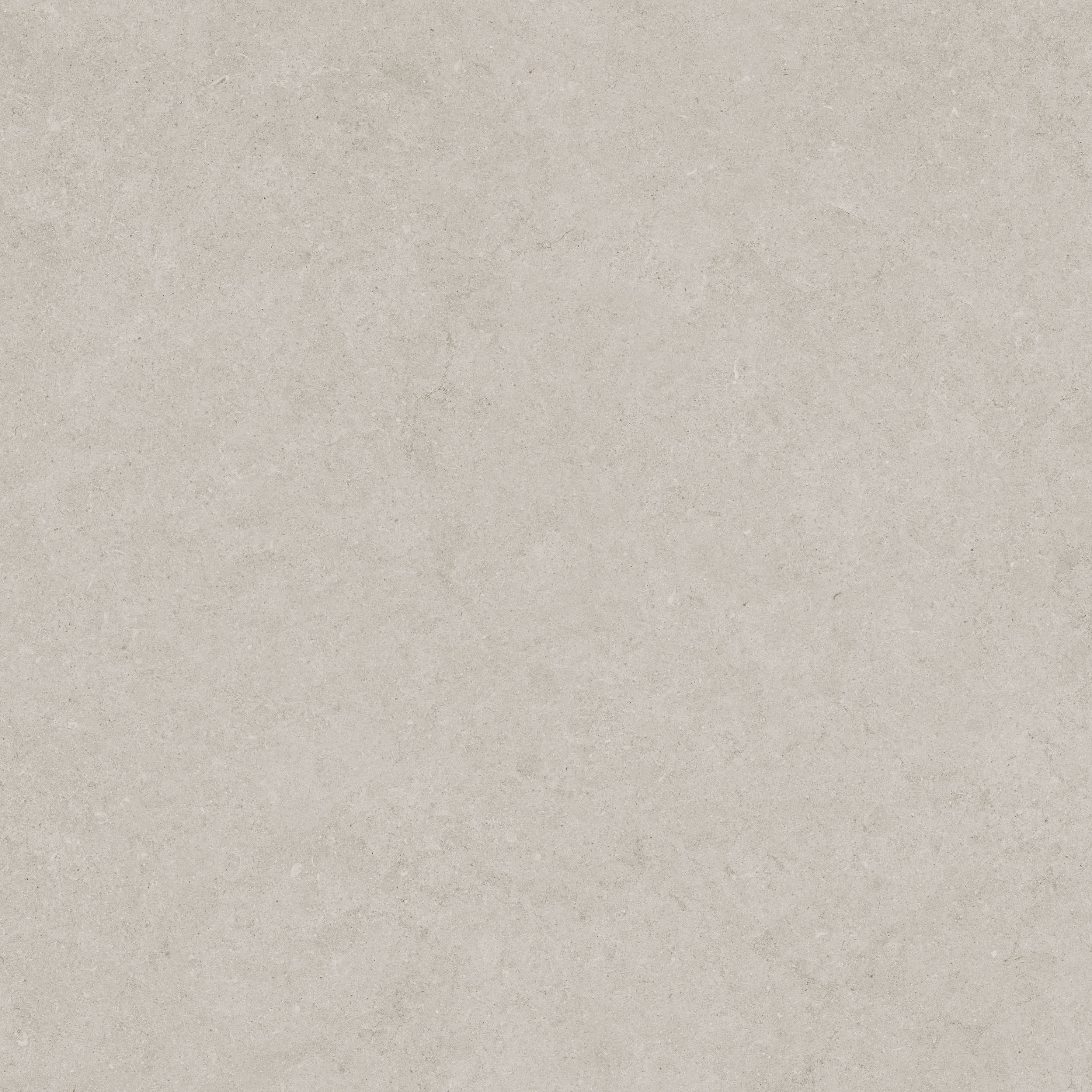 Lithoform 24X24 Crosscut Coast | Best Tile and Wood
