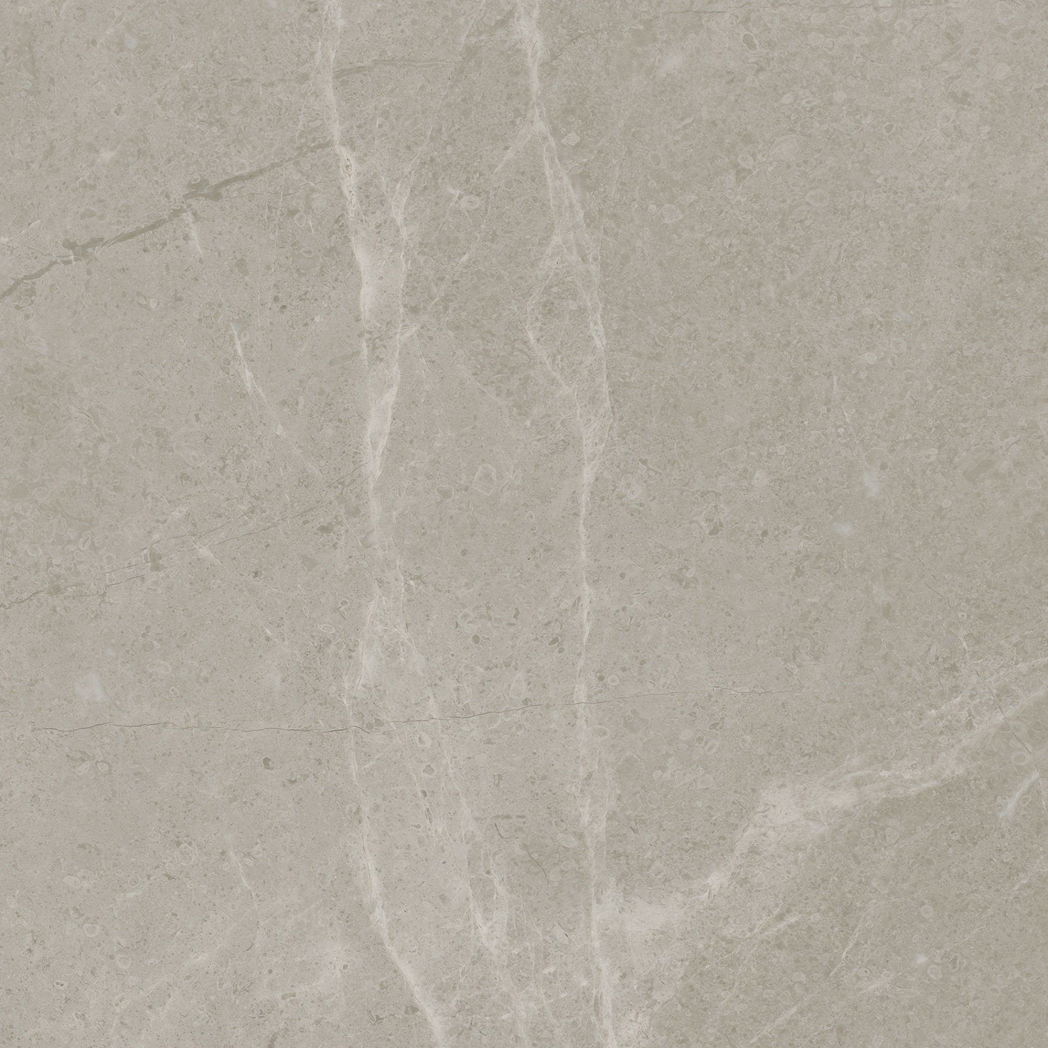 Torino 13x13 Vanizio | Best Tile and Wood